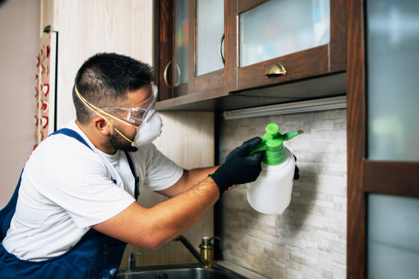Best Residential Pest Control  in Ballenger Creek, MD