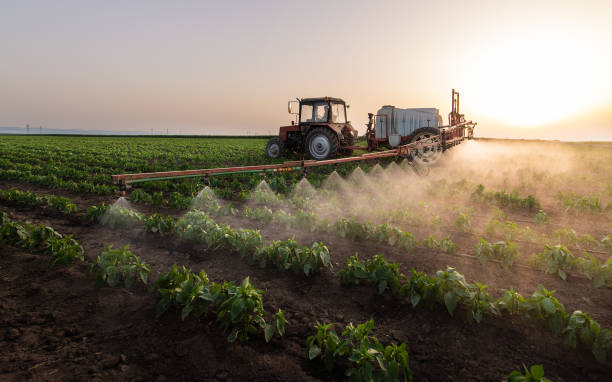Best Mosquito Control Services  in Ballenger Creek, MD