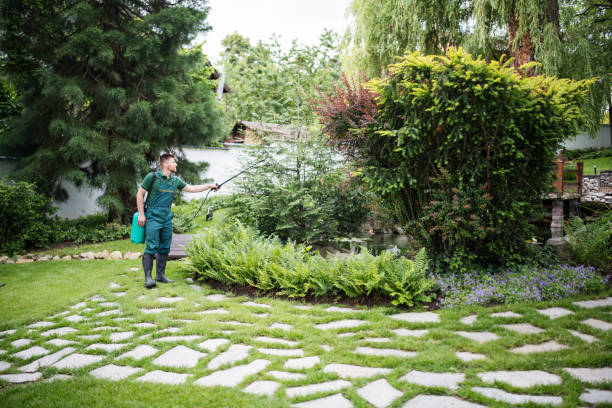 Best Pest Removal Services  in Ballenger Creek, MD