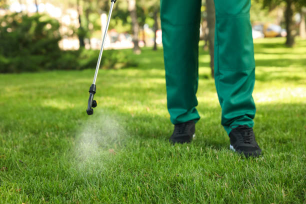Flea Control Services in Ballenger Creek, MD