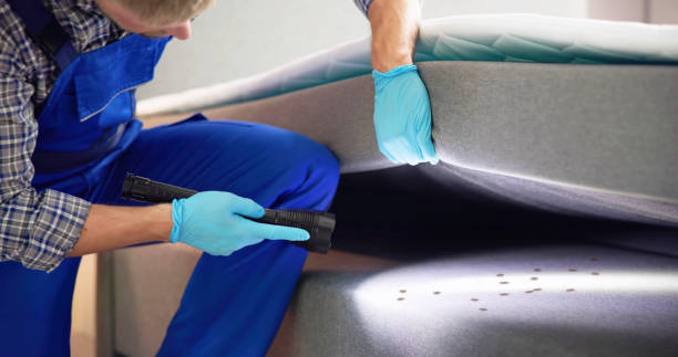 Best Affordable Pest Control Services  in Ballenger Creek, MD