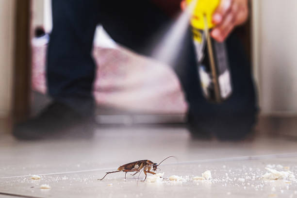 Best Local Pest Control Services  in Ballenger Creek, MD