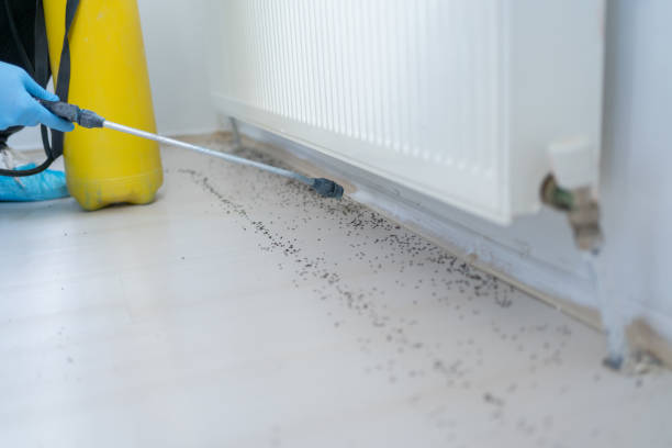 Best Pest Inspection Near Me  in Ballenger Creek, MD