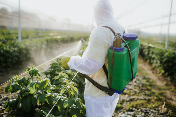 Reliable Ballenger Creek, MD Pest Control Solutions